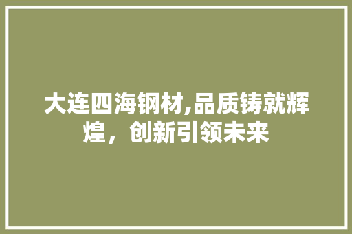 大连四海钢材,品质铸就辉煌，创新引领未来