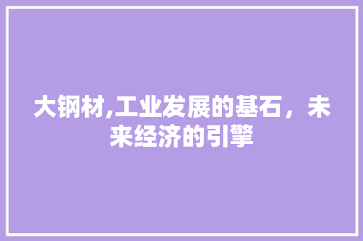 大钢材,工业发展的基石，未来经济的引擎