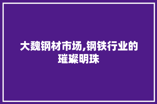 大魏钢材市场,钢铁行业的璀璨明珠