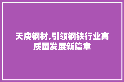 天庚钢材,引领钢铁行业高质量发展新篇章
