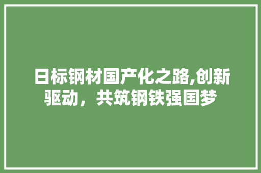 日标钢材国产化之路,创新驱动，共筑钢铁强国梦