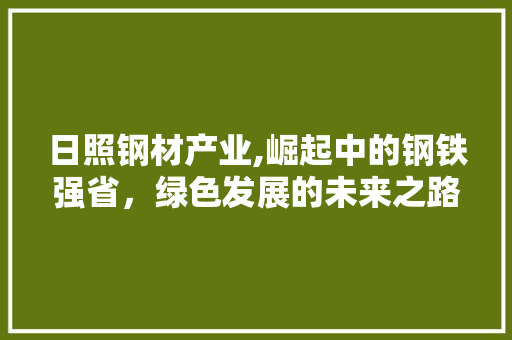 日照钢材产业,崛起中的钢铁强省，绿色发展的未来之路