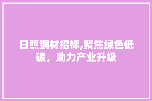 日照钢材招标,聚焦绿色低碳，助力产业升级