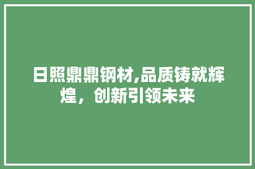 日照鼎鼎钢材,品质铸就辉煌，创新引领未来