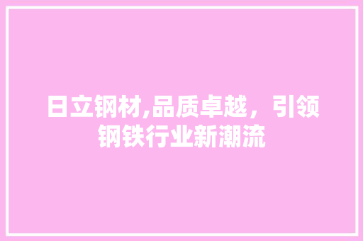 日立钢材,品质卓越，引领钢铁行业新潮流