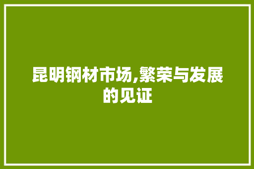 昆明钢材市场,繁荣与发展的见证