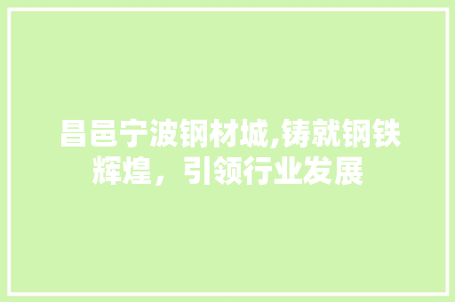 昌邑宁波钢材城,铸就钢铁辉煌，引领行业发展