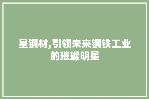 星钢材,引领未来钢铁工业的璀璨明星