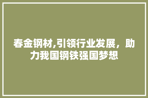 春金钢材,引领行业发展，助力我国钢铁强国梦想