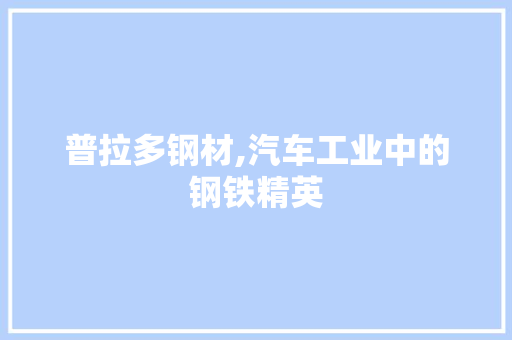 普拉多钢材,汽车工业中的钢铁精英