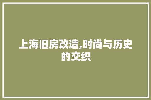 上海旧房改造,时尚与历史的交织