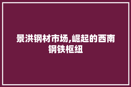 景洪钢材市场,崛起的西南钢铁枢纽