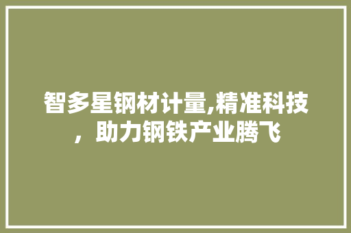 智多星钢材计量,精准科技，助力钢铁产业腾飞