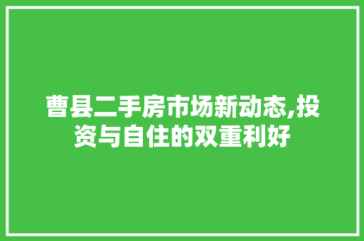曹县二手房市场新动态,投资与自住的双重利好