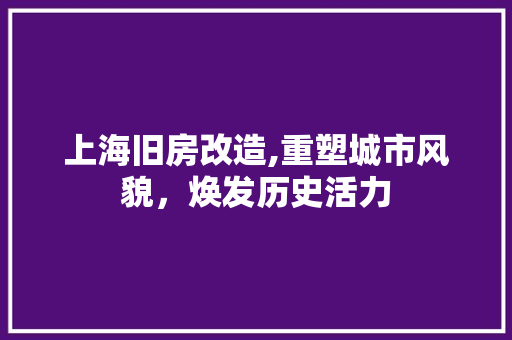 上海旧房改造,重塑城市风貌，焕发历史活力