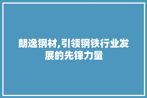 朗逸钢材,引领钢铁行业发展的先锋力量