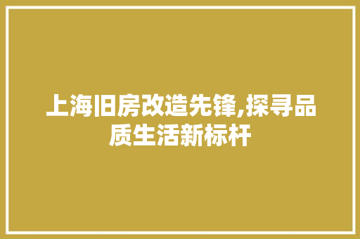 上海旧房改造先锋,探寻品质生活新标杆