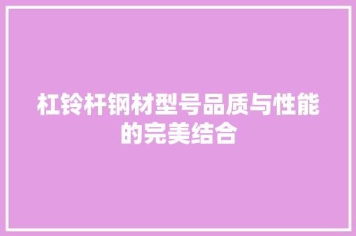 杠铃杆钢材型号品质与性能的完美结合