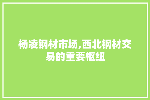 杨凌钢材市场,西北钢材交易的重要枢纽