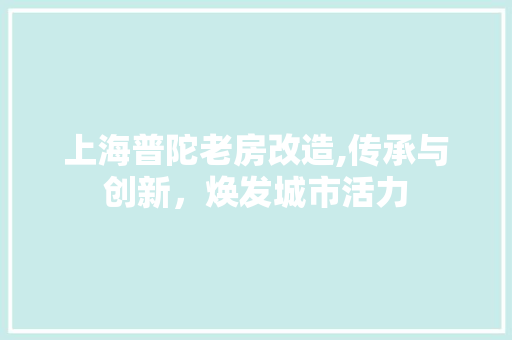 上海普陀老房改造,传承与创新，焕发城市活力