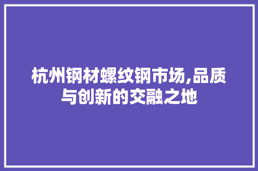 杭州钢材螺纹钢市场,品质与创新的交融之地
