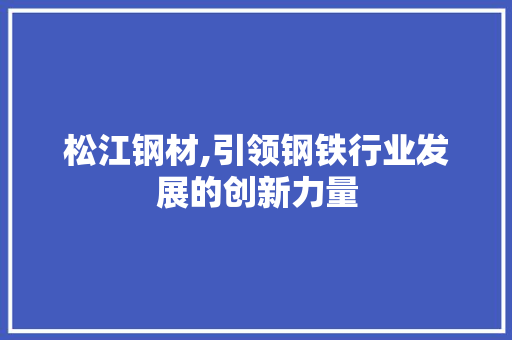 松江钢材,引领钢铁行业发展的创新力量