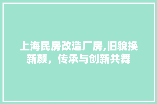 上海民房改造厂房,旧貌换新颜，传承与创新共舞