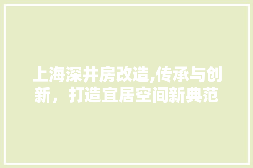 上海深井房改造,传承与创新，打造宜居空间新典范