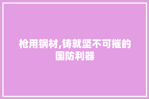 枪用钢材,铸就坚不可摧的国防利器