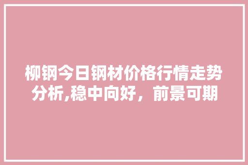 柳钢今日钢材价格行情走势分析,稳中向好，前景可期