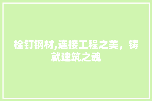 栓钉钢材,连接工程之美，铸就建筑之魂