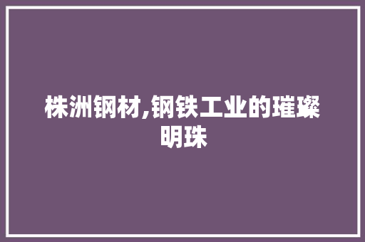 株洲钢材,钢铁工业的璀璨明珠