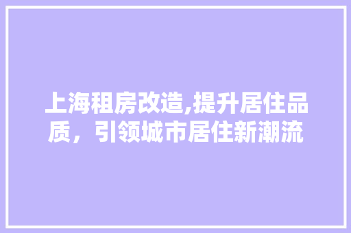 上海租房改造,提升居住品质，引领城市居住新潮流