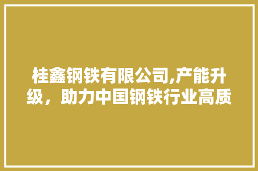 桂鑫钢铁有限公司,产能升级，助力中国钢铁行业高质量发展