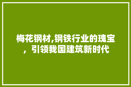 梅花钢材,钢铁行业的瑰宝，引领我国建筑新时代