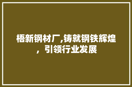 梧新钢材厂,铸就钢铁辉煌，引领行业发展