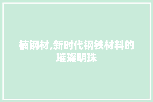 楠钢材,新时代钢铁材料的璀璨明珠