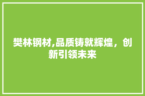樊林钢材,品质铸就辉煌，创新引领未来