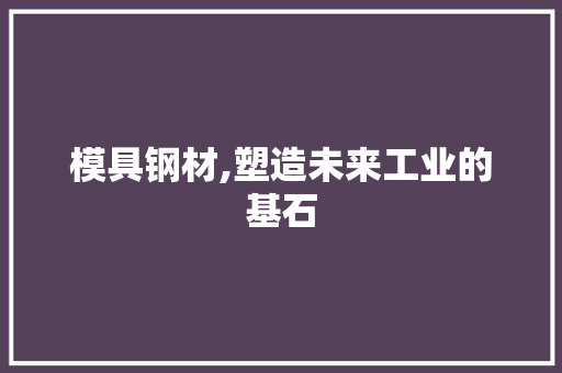 模具钢材,塑造未来工业的基石