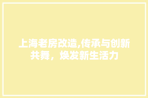 上海老房改造,传承与创新共舞，焕发新生活力