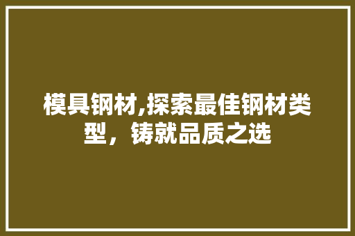 模具钢材,探索最佳钢材类型，铸就品质之选