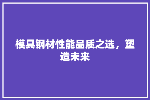 模具钢材性能品质之选，塑造未来