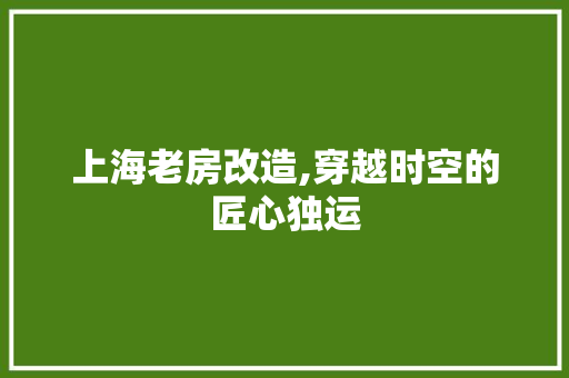 上海老房改造,穿越时空的匠心独运