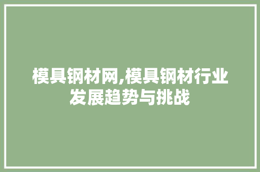 模具钢材网,模具钢材行业发展趋势与挑战
