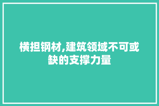 横担钢材,建筑领域不可或缺的支撑力量