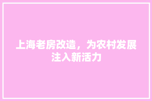 上海老房改造，为农村发展注入新活力