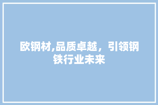 欧钢材,品质卓越，引领钢铁行业未来