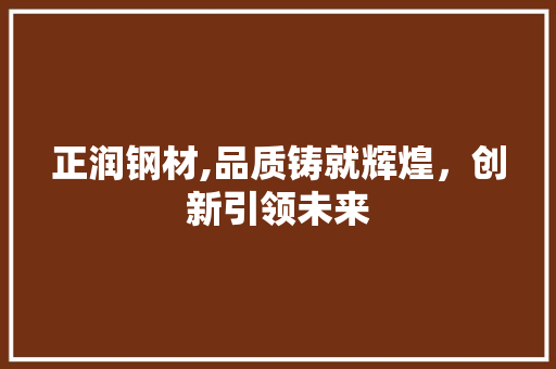 正润钢材,品质铸就辉煌，创新引领未来