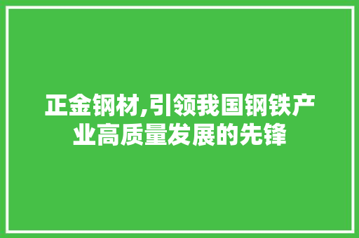 正金钢材,引领我国钢铁产业高质量发展的先锋