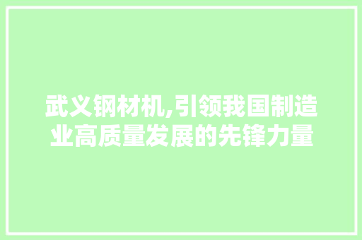 武义钢材机,引领我国制造业高质量发展的先锋力量